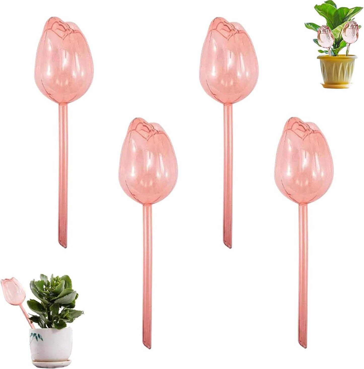 Dispositif d'arrosage pour plantes — 4 Pièces