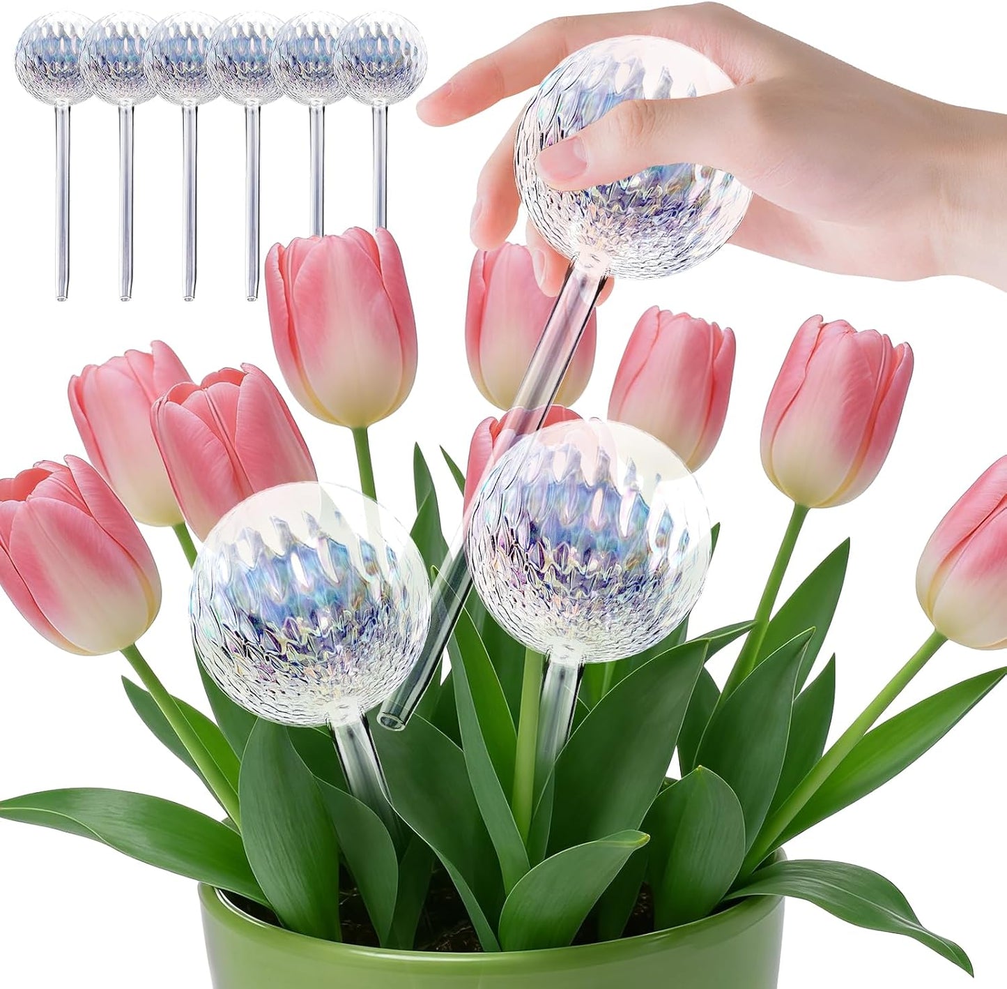 Dispositif d'arrosage pour plantes – en verre