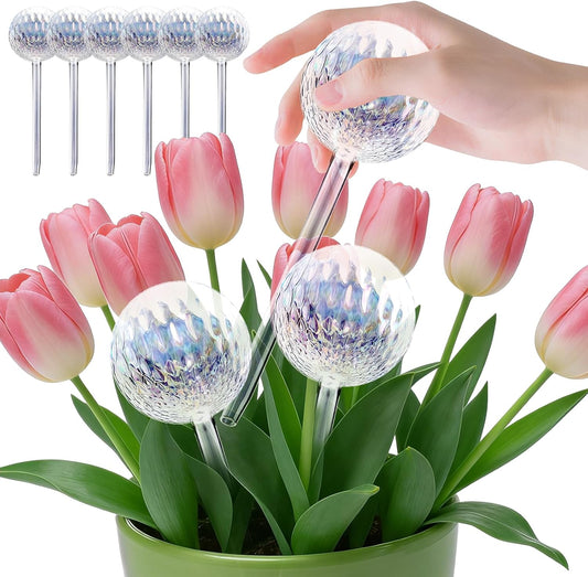 Dispositif d'arrosage pour plantes – en verre