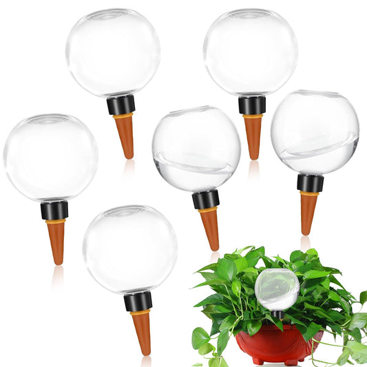 Dispositif d'arrosage pour plantes — Lot de 6, 500ml