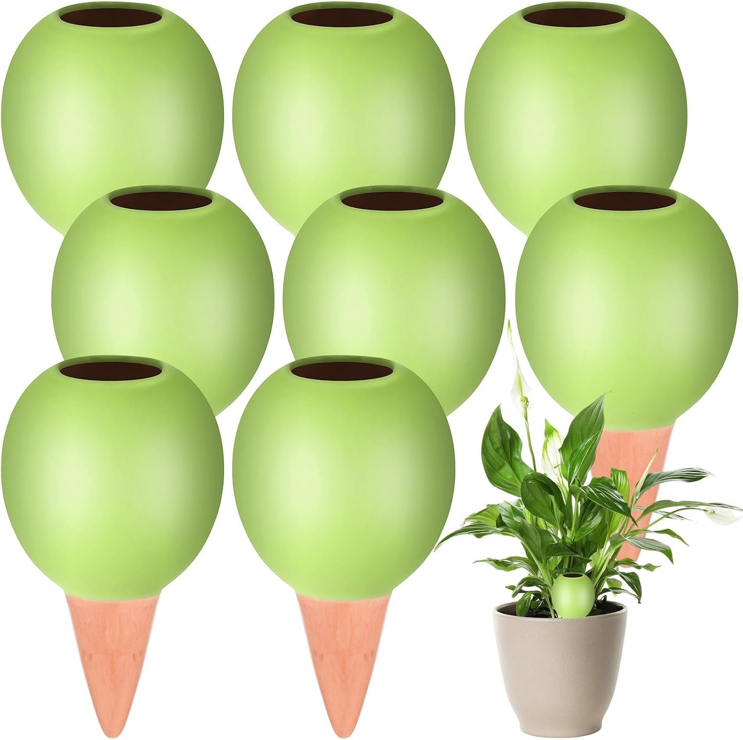 Dispositif d'arrosage pour plantes — en céramique, vert